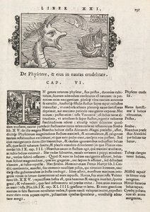 Sida 735 från Nordens historia av Magnus Olaus, Rom 1565 (tryck & gravyr) av Italian School
