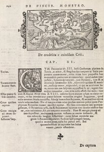 Sida 740 från Nordens historia av Magnus Olaus, Rom 1565 (tryck & gravyr) av Italian School