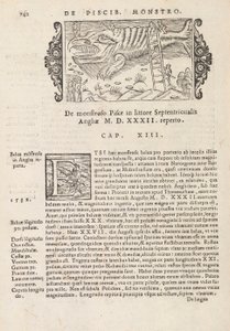 Sida 742 från History of the Northern Gentivus av Magnus Olaus, Rom 1565 (tryck & gravyr) av Italian School