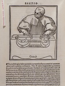 Sida från Musica theorica av Lodovico Fogliani (1475?-1542) (eller Ludovico Foliani) musikteoretiker av Italian School