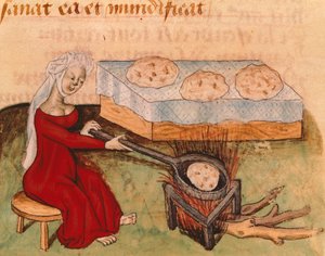Sida från Tractatus de Herbis av Dioscorides Pedanius av Italian School