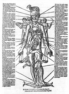 Plåt som representerar en människokropp med positionen för alla organ och stjärntecknen som motsvarar dem genom deras astrologiska influenser. Plage tagen från "" Recetoro di Galeno optio e probato a tutte le infirmita che accadeno a huomini e a donne di d av Italian School