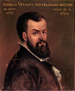 Porträtt av Andre Vesale (Andreas Vesalius) (1514-1564), anatom och doktor av Karl V anonym målning av den italienska skolan. 1500-talets Padua, universitet av Italian School