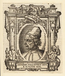 Porträtt av Antonio del Pollaiuolo, italiensk målare, skulptör, gravör och guldsmed från renässansen från Florens, cirka 1429-1498 av Italian School
