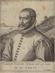 Porträtt av Carolus Clusius av Italian School