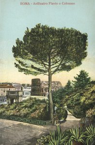 Rom, Italien, Amfiteatern och Colosseum (färglitografi) av Italian School