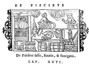 Saltning, torkning och rökning av fisk, illustration från Historia de Gentibus Septentrionalibus av Olaus Magnus (1490-1558), publicerad i Rom, 1555 av Italian School