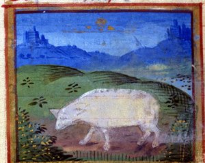 Tecken på baggen. Italienskt horoskop, mitten av 1400-talet. av Italian School