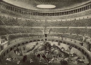 Colosseum, jakten på det stora vilda djuret (litho) av Italian School