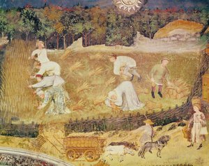 Augusti månad, detalj av skörden, c.1400 (fresk) av Italian School