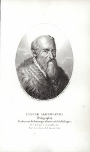 Ulisse Aldrovandi av Italian School