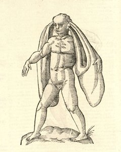 illustration av Homo Fanesius auritus från Aldrovandis History of Monsters, 1642 av Italian School