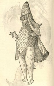 illustration av Monstro Marinus från Aldrovandis History of Monsters, 1642 av Italian School