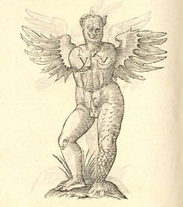 illustration av ett bevingat monster från Aldrovandis History of Monsters, 1642 av Italian School