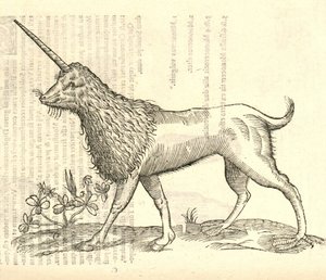 illustration av en Camphurch från Aldrovandis History of Monsters, 1642 av Italian School