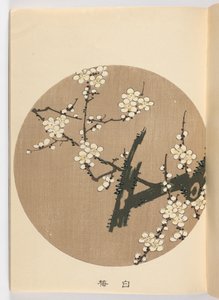 Svag ch? Är negativ, Meiji Ella, 1908 (DBock p Hayashi t)