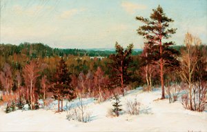 Vinter - Utsikt över skogen av Ivan Fedorovich Choultse