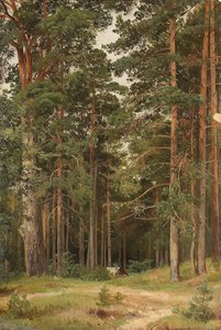 En sommardag, Merikiul, 1895 av Ivan Ivanovich Shishkin