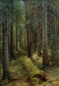 I den ryska skogen
