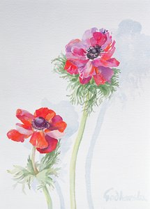 Anemone, 1998 (wc på papper) (se 124451) av Izabella Godlewska de Aranda