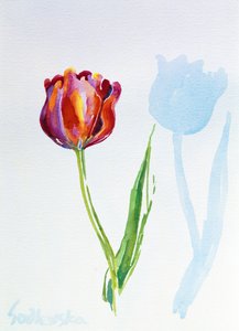 Tulip, 1998 (wc på papper) (se även 124446 & 124447) av Izabella Godlewska de Aranda