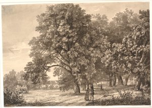 Vy över en väg i en skog nära Sorø, Zeeland av Johan Christian Dahl