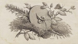 En cirkulär lutande skiva mellan löv och insekter av J.F. Clemens