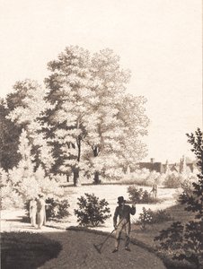 Nordfeldts trädgård av J.F. Clemens