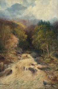 En bergsskog av J.H. Stanger