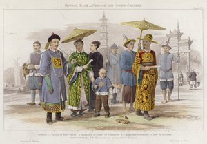 Mongolisk ras, kinesisk och cochin-kinesisk (färgad gravyr)