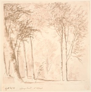 Skogslott av J.P. Møller