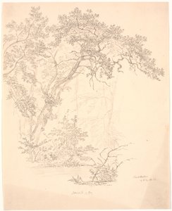 Träd av J.P. Møller
