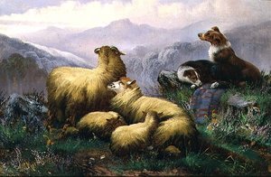 Fårhundar och får i det skotska höglandet av J.W. Morris