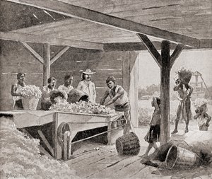 Slavar som arbetar med en bomullsgin från 1800-talet på en plantage i en sydlig delstat i USA, från 
