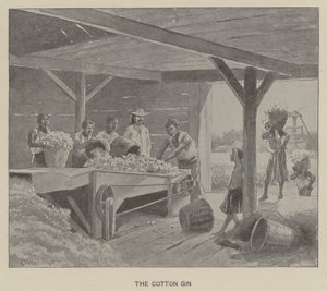 Bomullsgin (litho)