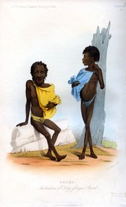 Tidigare, australiensare från King George