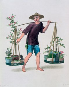"En portier med fruktträd och blommor", Kina, 1800 av J Dadley