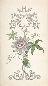 Design för paneldekoration centrerad på en passionsblomma, 1828-40. av J Hulme