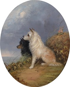 Två hundar på stranden av J. Langlois
