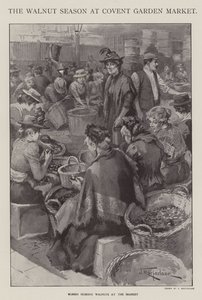 Valnötssäsongen på Covent Garden Market, London (litho)