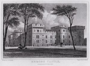 Enmore Castle, Somersetshire (gravyr) av John Preston Neale