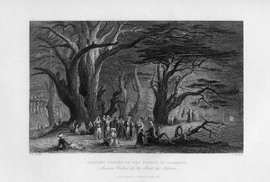 Forntida cedrar i Libanonskogen, 1841