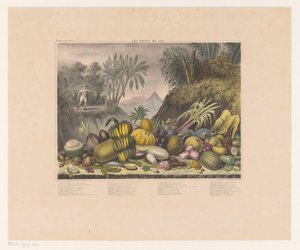 Javanesiska frukter Les fruits de Java (titel på objekt) av J. Schnell
