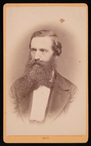 Porträtt av Mordecai Cubitt Cooke 1825-1914, 1873. av J Stegmann