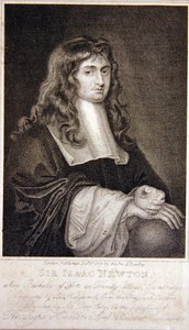 Sir Isaac Newton av J. T. Wedgewood