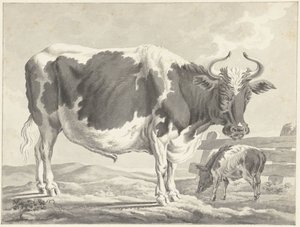 Svart pied tjur och en gris