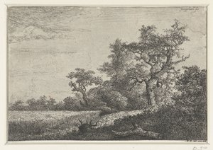 Majsfältet av Jacob van Ruisdael