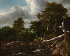 Forest Scene, ca 1655 (olja på duk) av Jacob van Ruisdael