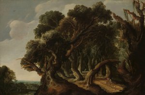Skogbevuxen landskap Landskap av Jacob Jacobsz van Geel (signed by artist)