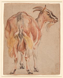 Get, ca 1657 (krita & tvätt förhöjd med vitt) av Jacob Jordaens